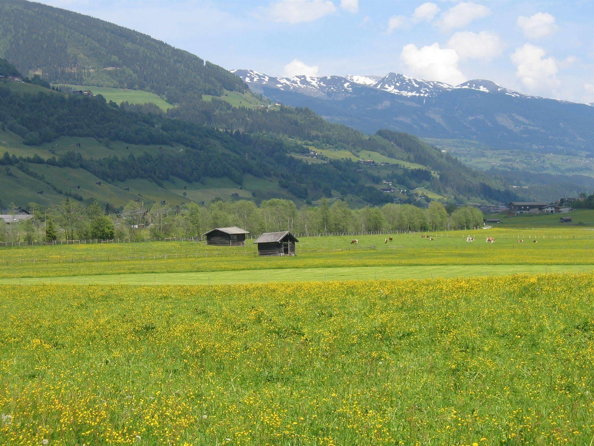 Pension Kristall Bramberg am Wildkogel Exterior foto