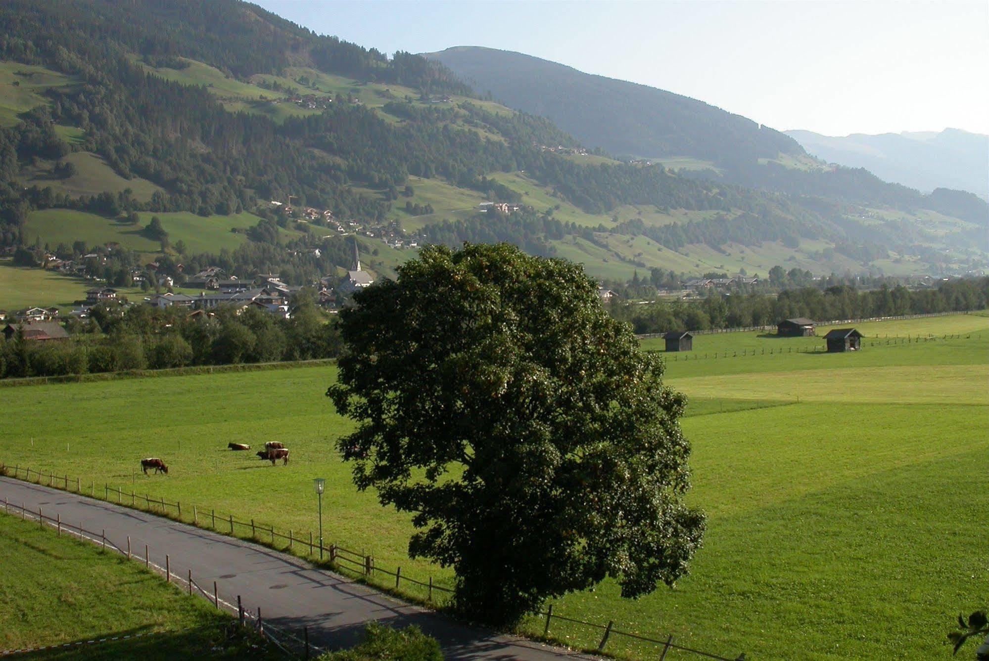 Pension Kristall Bramberg am Wildkogel Exterior foto